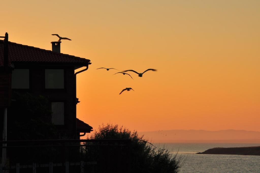 Deep Blue Guest House Süzebolu Dış mekan fotoğraf
